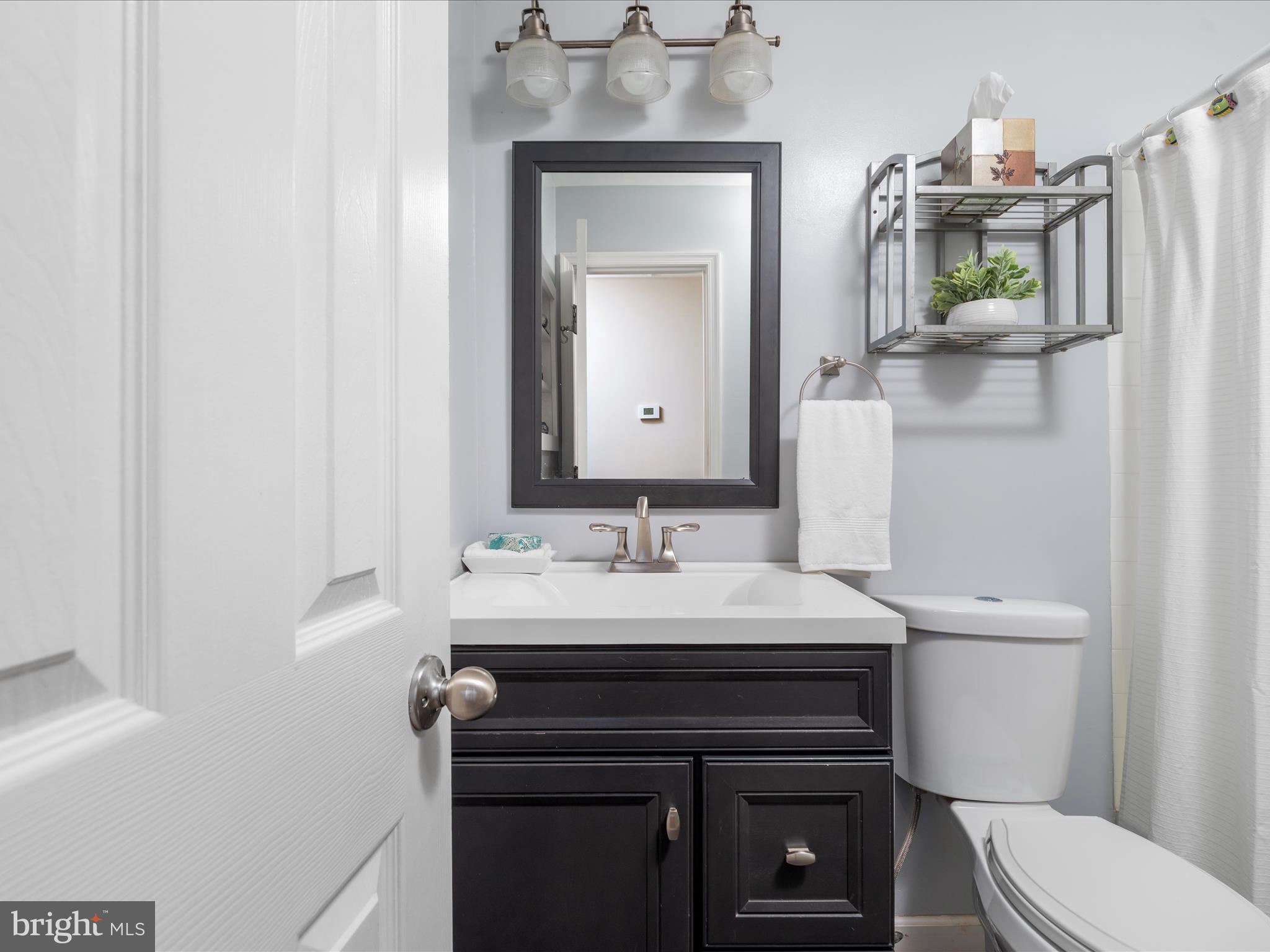 4629 Casanova Road Midland, VA 22728 - Photo 15 of 62 Remodeled full bath in hallway