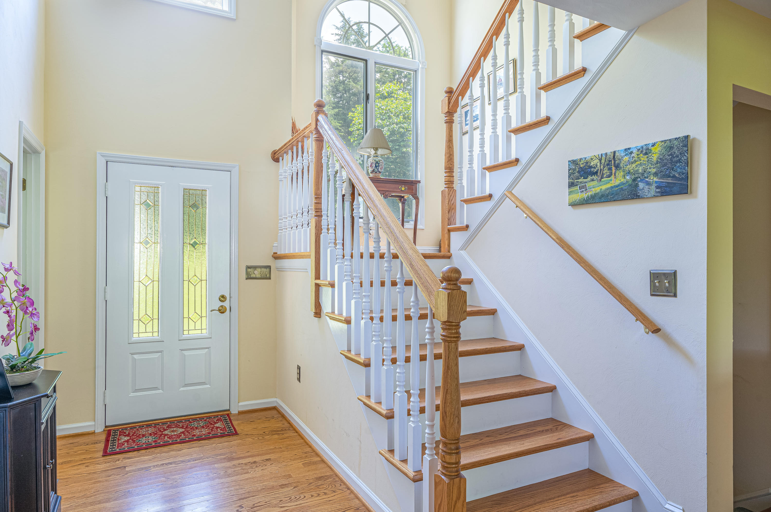 729 Ridge Trail Fincastle, VA 24090 - Photo 3 of 39 Foyer