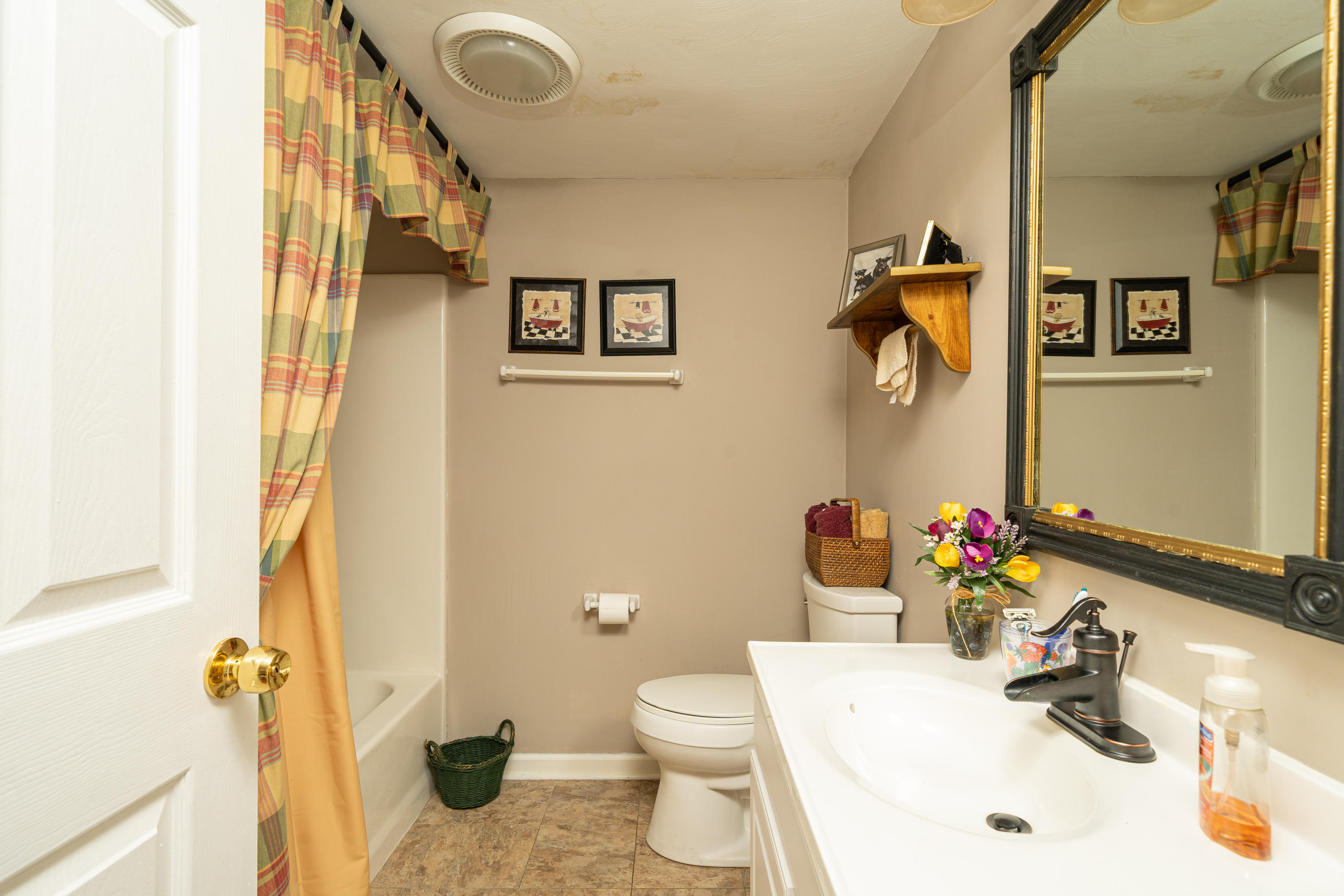 729 Ridge Trail Fincastle, VA 24090 - Photo 28 of 39 Bath Lower