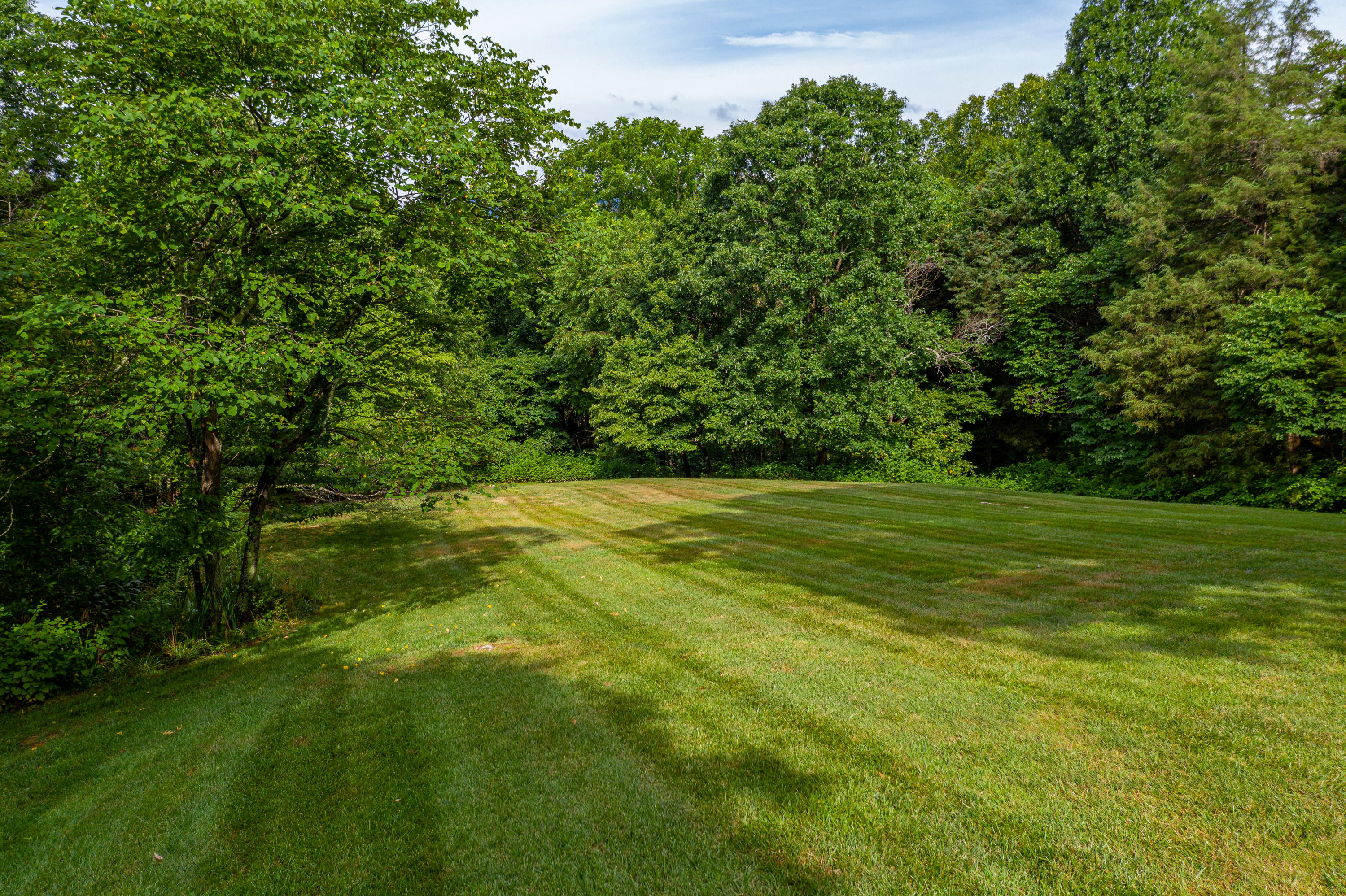 729 Ridge Trail Fincastle, VA 24090 - Photo 35 of 39 9.9 Acres