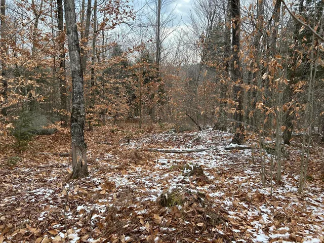 $64,900 | 0 North Main Street, Bryant Pond, ME 04219