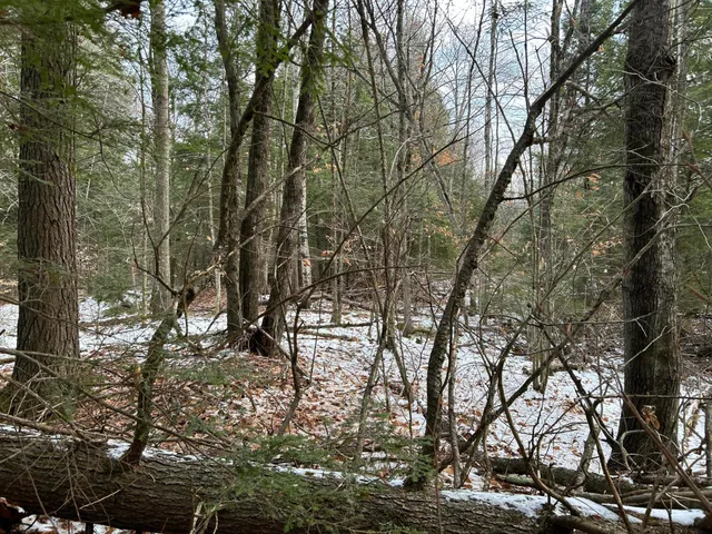 $64,900 | 0 North Main Street, Bryant Pond, ME 04219