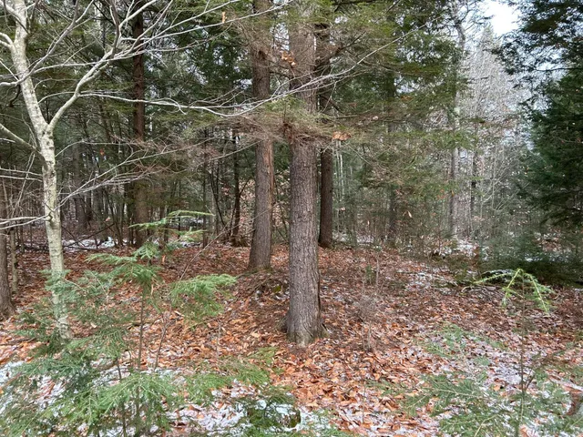 $64,900 | 0 North Main Street, Bryant Pond, ME 04219