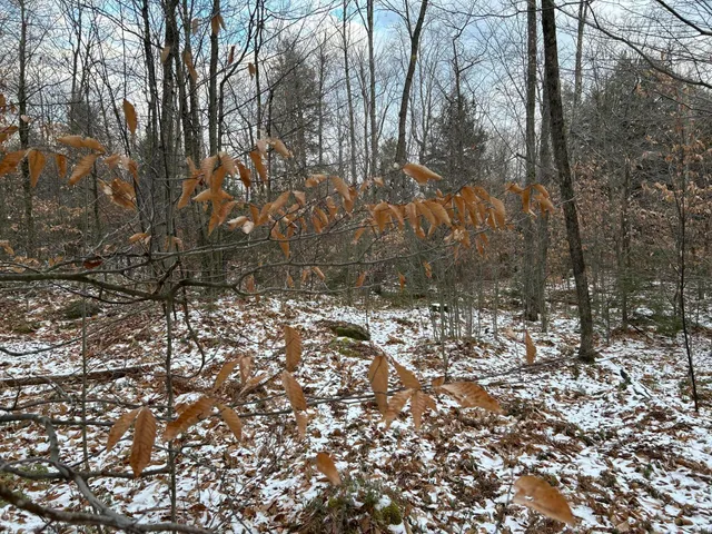 $64,900 | 0 North Main Street, Bryant Pond, ME 04219