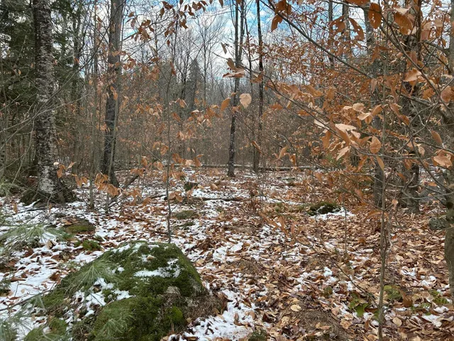 $64,900 | 0 North Main Street, Bryant Pond, ME 04219