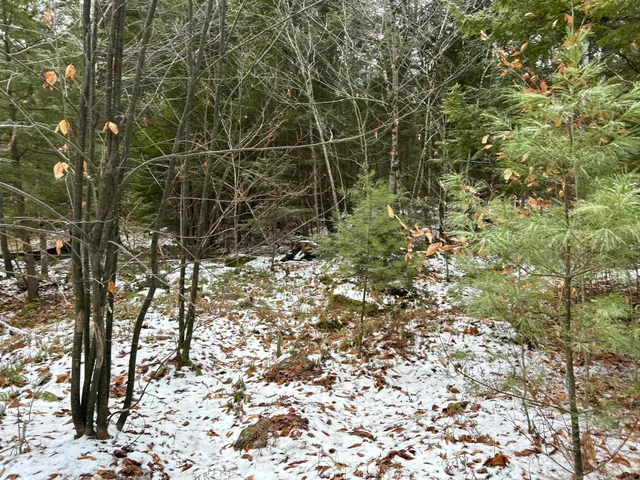 $64,900 | 0 North Main Street, Bryant Pond, ME 04219