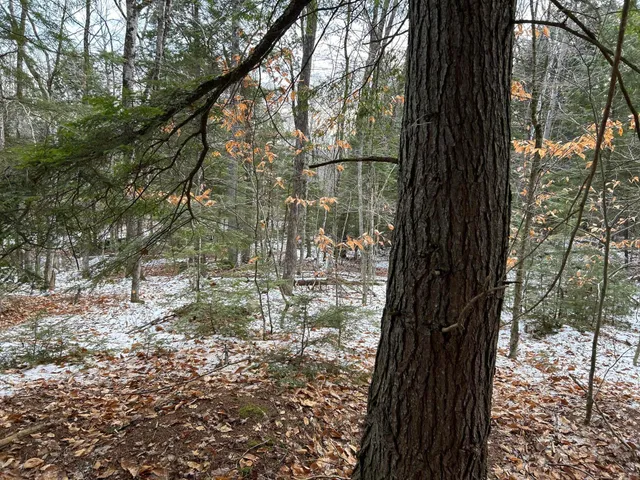 $64,900 | 0 North Main Street, Bryant Pond, ME 04219