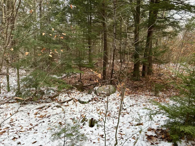 $64,900 | 0 North Main Street, Bryant Pond, ME 04219