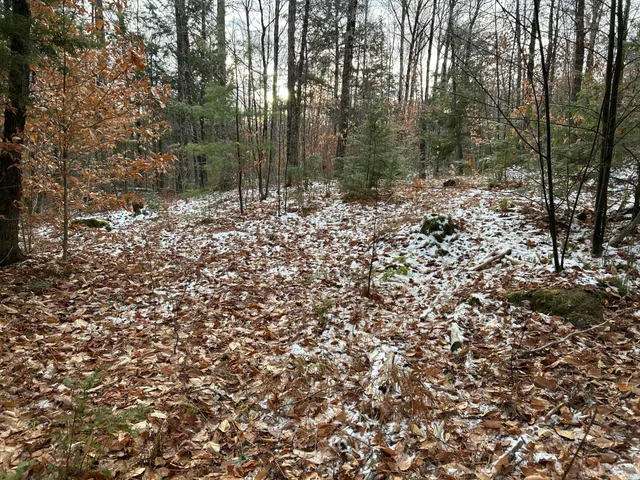 $64,900 | 0 North Main Street, Bryant Pond, ME 04219