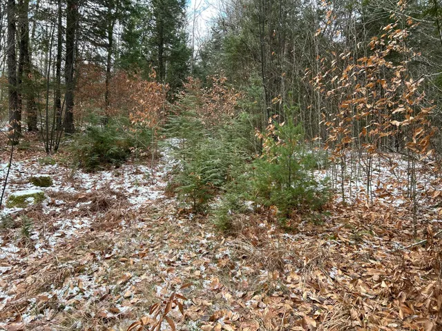 $64,900 | 0 North Main Street, Bryant Pond, ME 04219