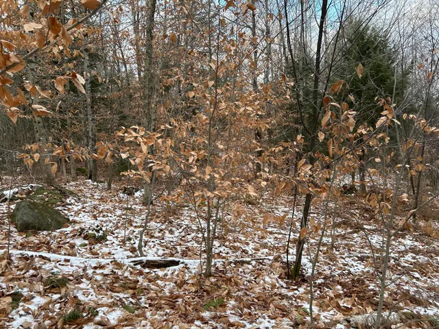 $64,900 | 0 North Main Street, Bryant Pond, ME 04219