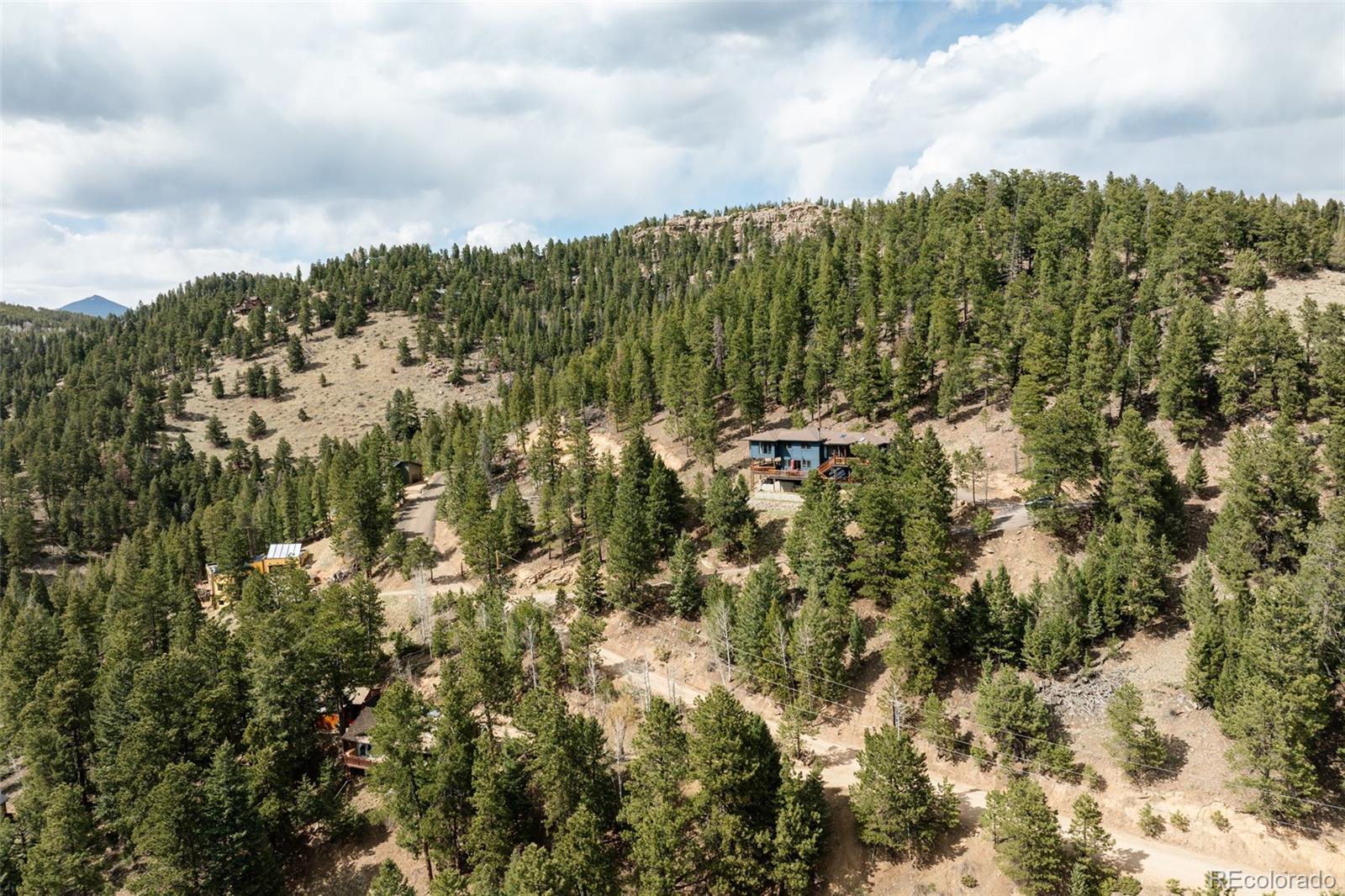 7290 Timber Trail Road Evergreen, CO 80439 - Photo 7 of 11 a view of a green yard with large trees