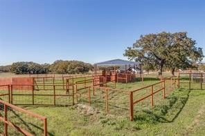 3952 Tin Top Road Weatherford, TX 76087 - Photo 17 of 39 a view of a lake with a garden