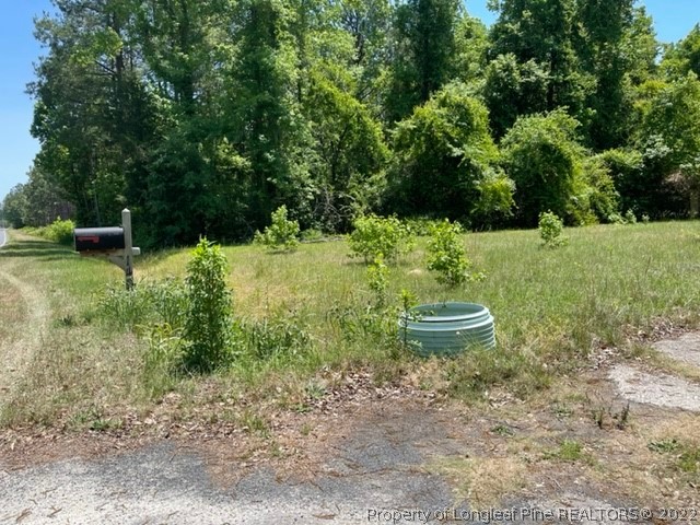 1498 Joe Hall Road Hope Mills, NC 28348 - Photo 4 of 4 Gallery Image 4