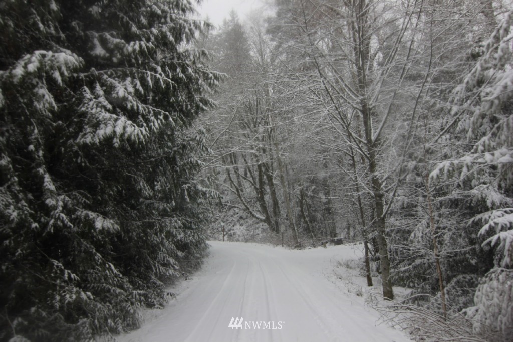 7401 Wheeler Road Maple Falls, WA 98266 - Photo 8 of 25 Gallery Image 8