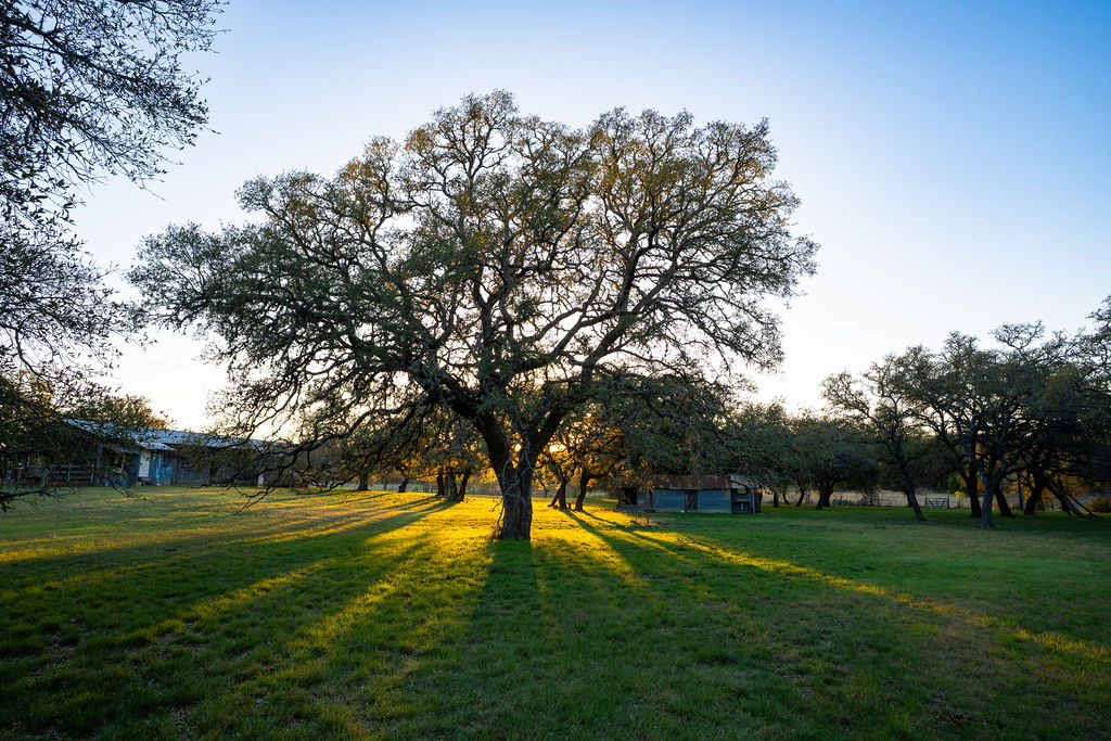 1294 Crabapple Road Blanco, TX 78606 - Photo 28 of 32