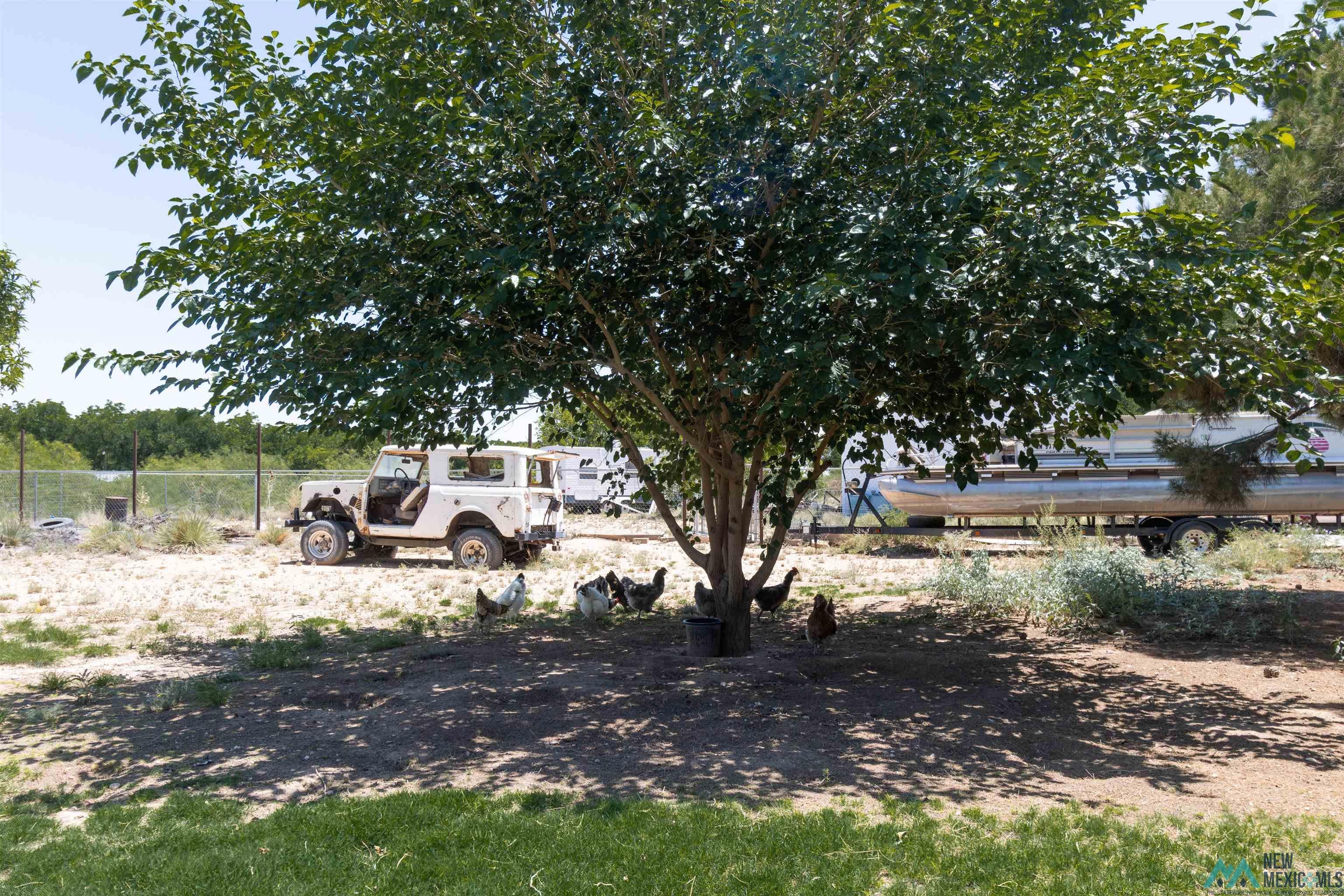 1509 Papershell Road Carlsbad, NM 88220 - Photo 45 of 47 Yard