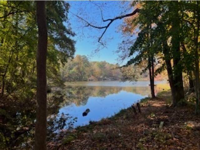 0 Berry Shoals Road Duncan, SC 29334 - Photo 2 of 6