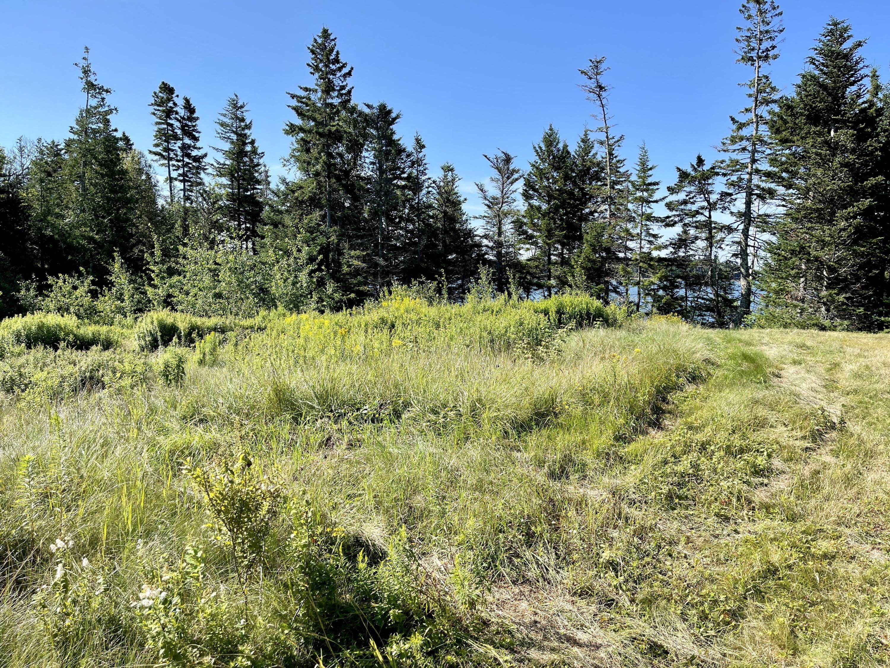 214 County Road Eastport, ME 04631 - Photo 11 of 23 E338E20D-C3C8-474B-9578-E6FE3626E888