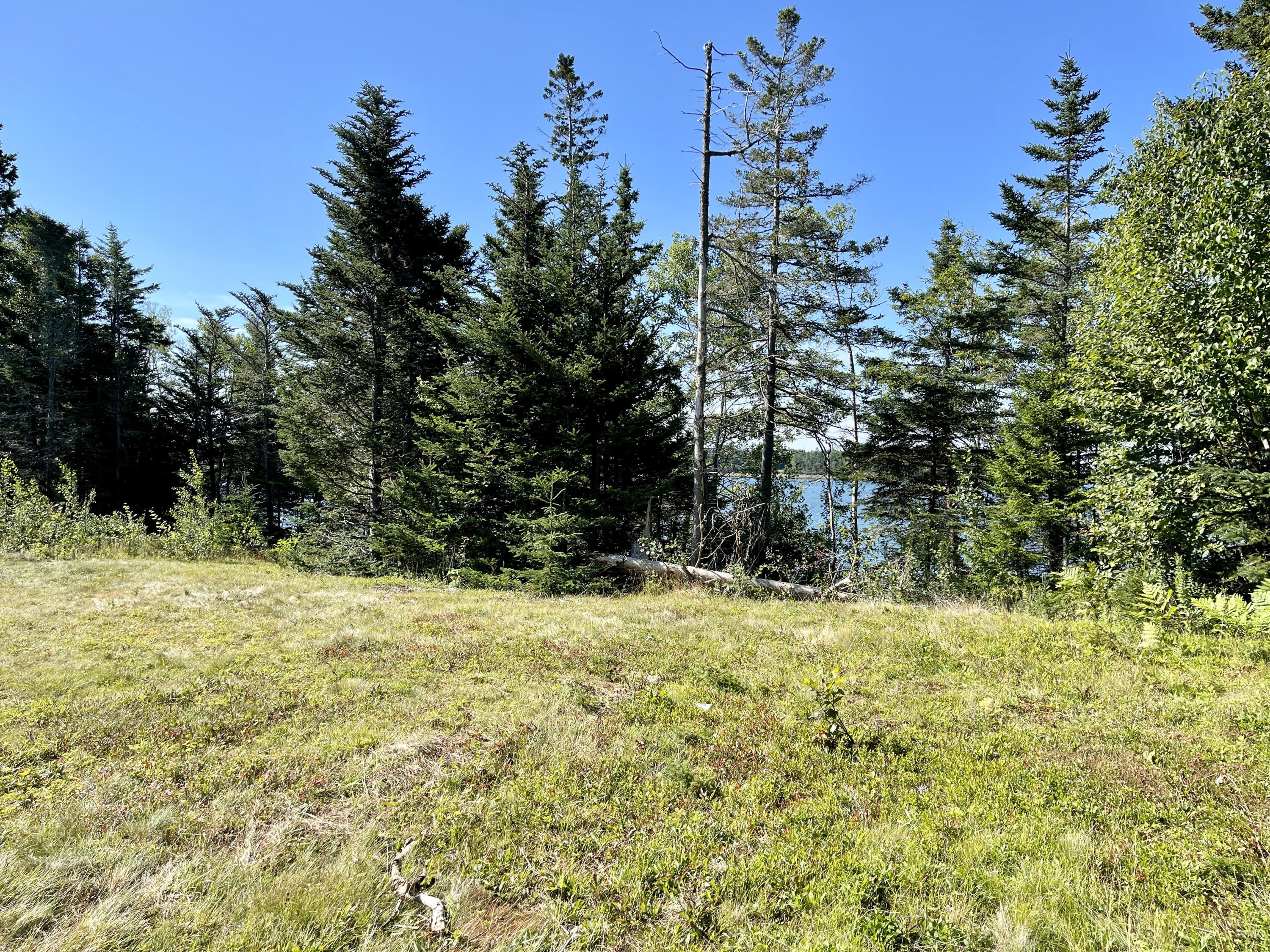 214 County Road Eastport, ME 04631 - Photo 12 of 23 959EBB3E-F174-46F2-9238-F0BF6FE13495