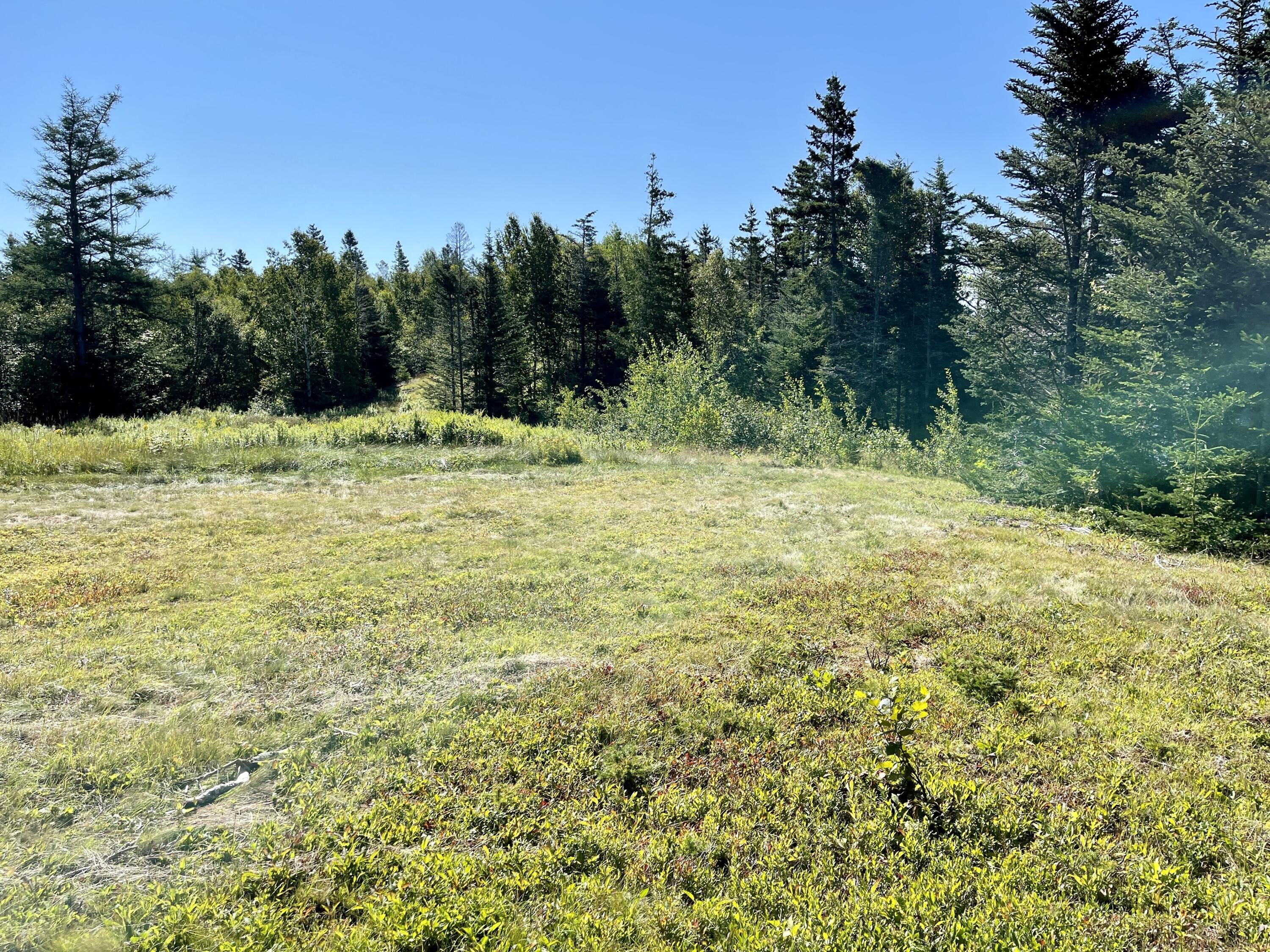 214 County Road Eastport, ME 04631 - Photo 13 of 23 9290B1AF-5DDC-4E14-92B6-B15E120133D1