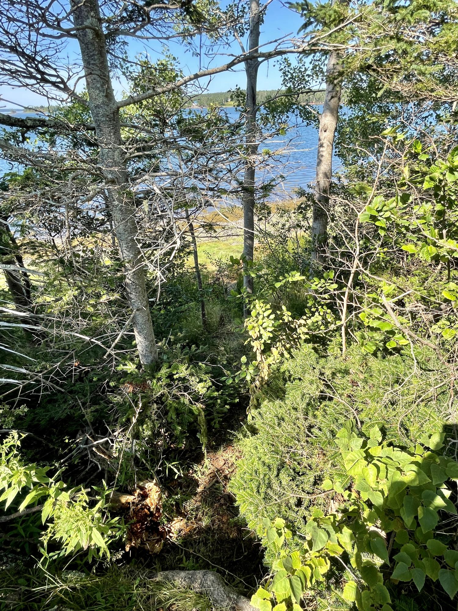 214 County Road Eastport, ME 04631 - Photo 14 of 23 245DF164-EE3D-4148-890B-53DB5607A80E