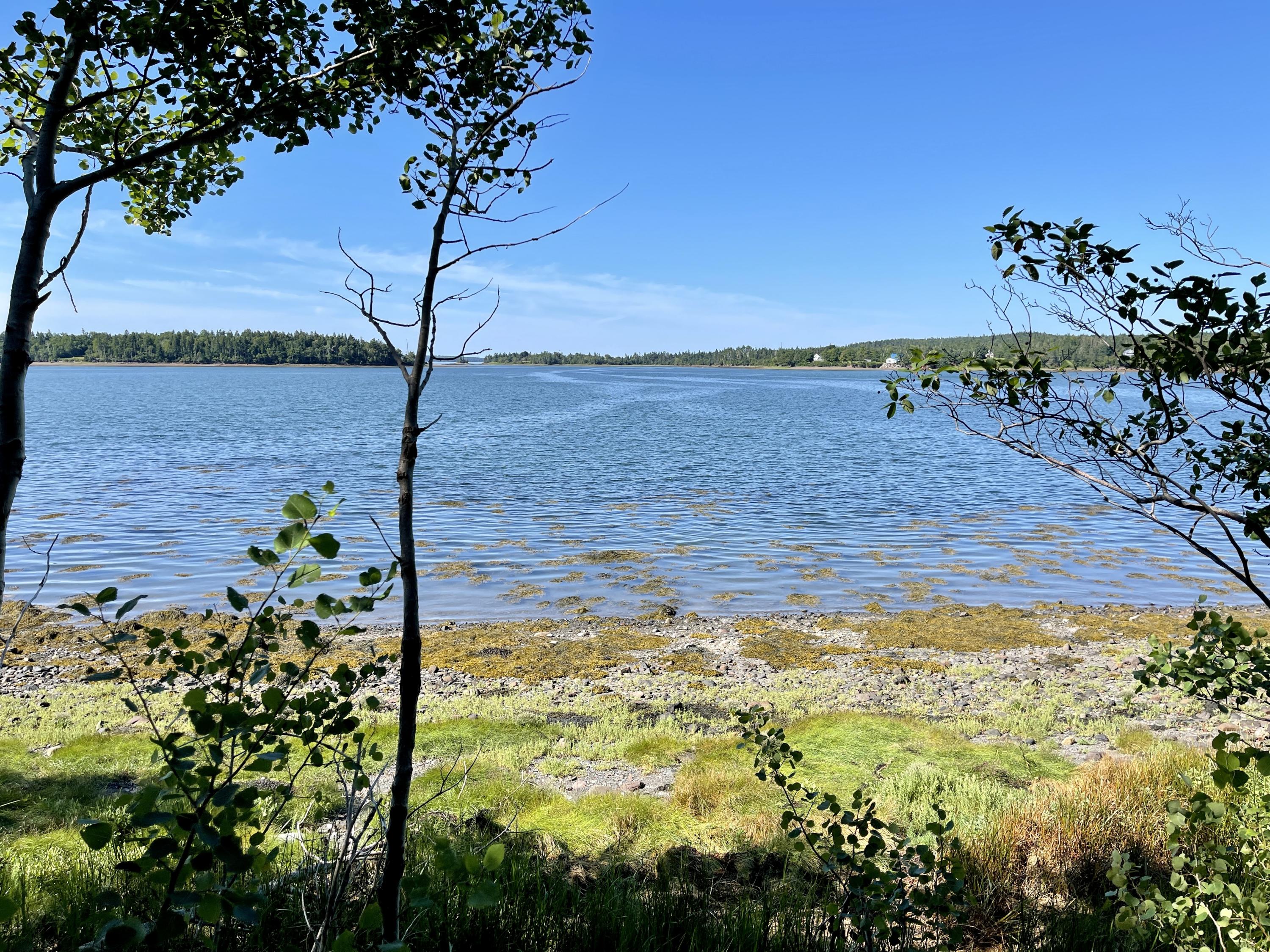 214 County Road Eastport, ME 04631 - Photo 15 of 23 4D77CFAF-9CED-4D0D-B930-0D2671F67F5F