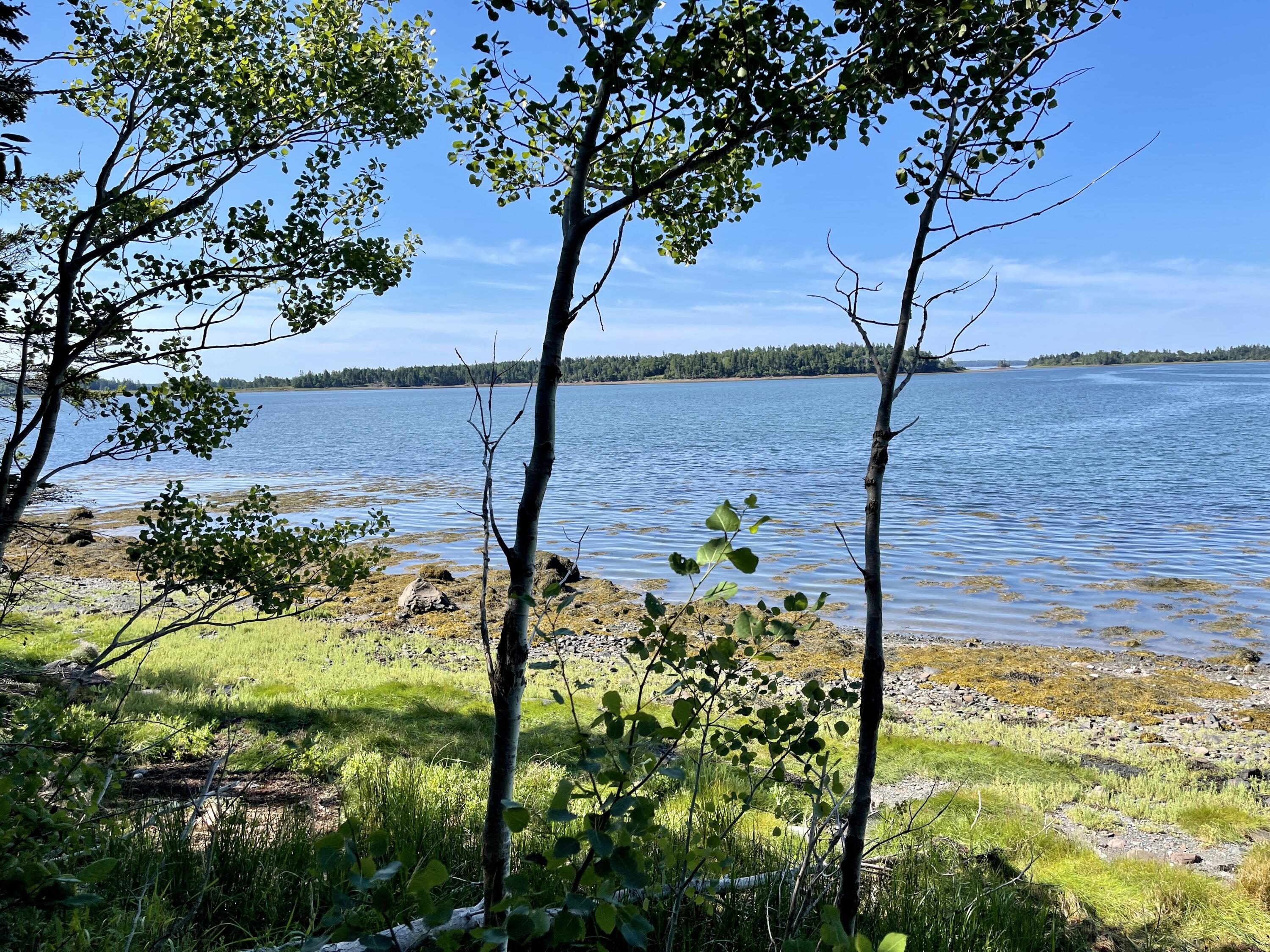 214 County Road Eastport, ME 04631 - Photo 16 of 23 B7D46772-E63E-4830-9962-909303E5DE9D