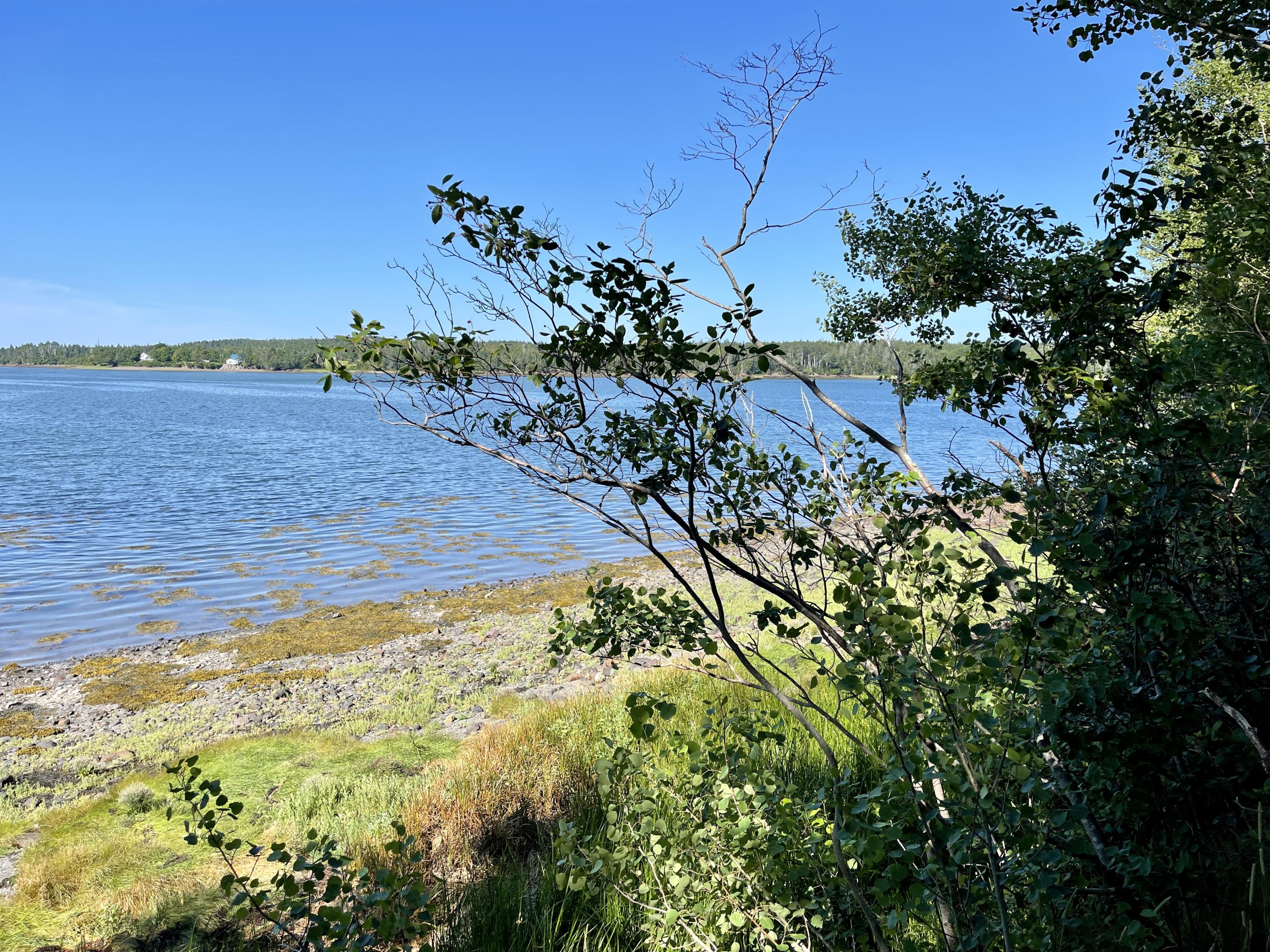 214 County Road Eastport, ME 04631 - Photo 17 of 23 6072BD80-B6EF-44F6-95E6-E892398C9AA5