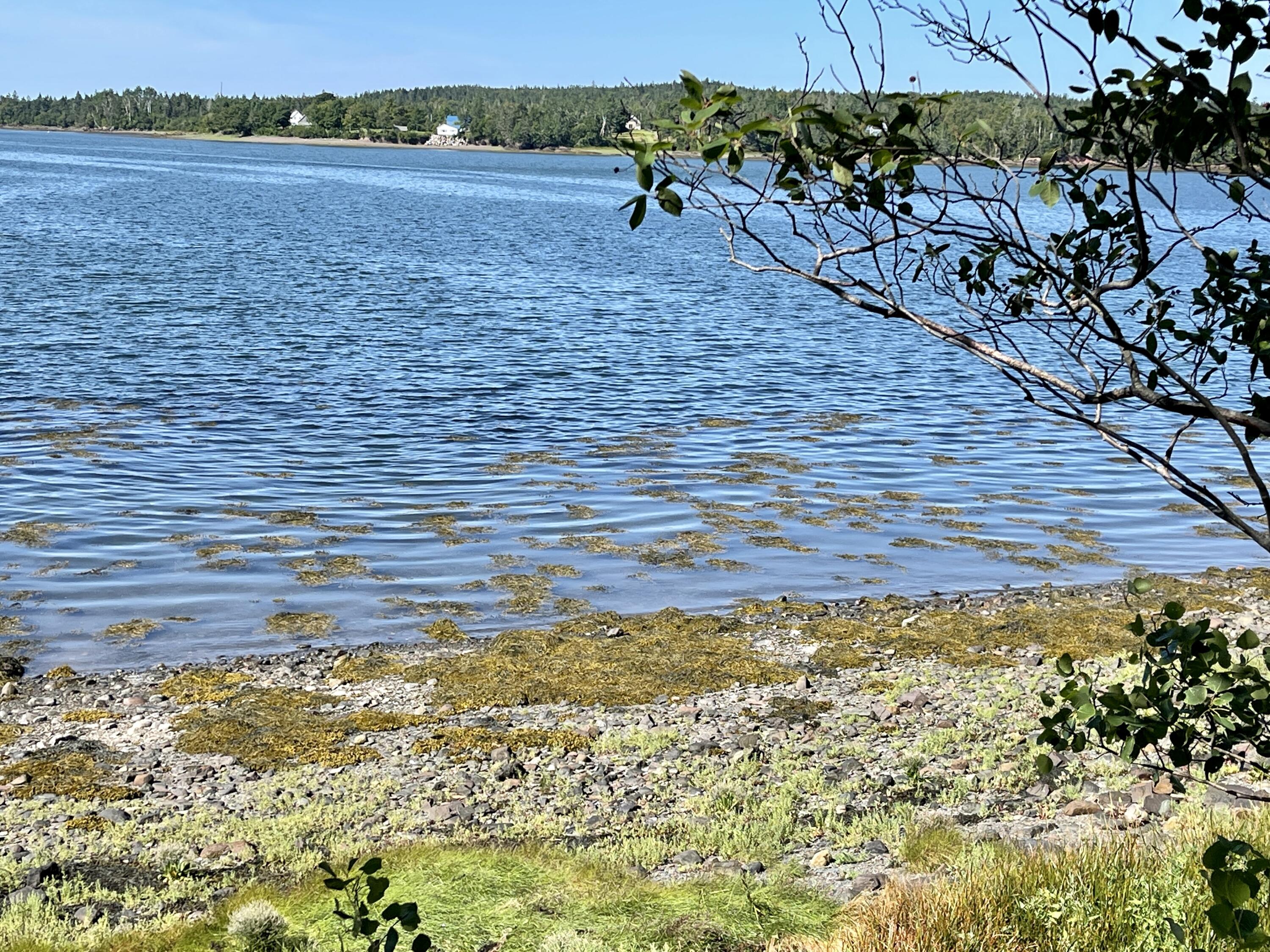 214 County Road Eastport, ME 04631 - Photo 18 of 23 08D79494-4FF8-4D5C-A531-88E0913FA585