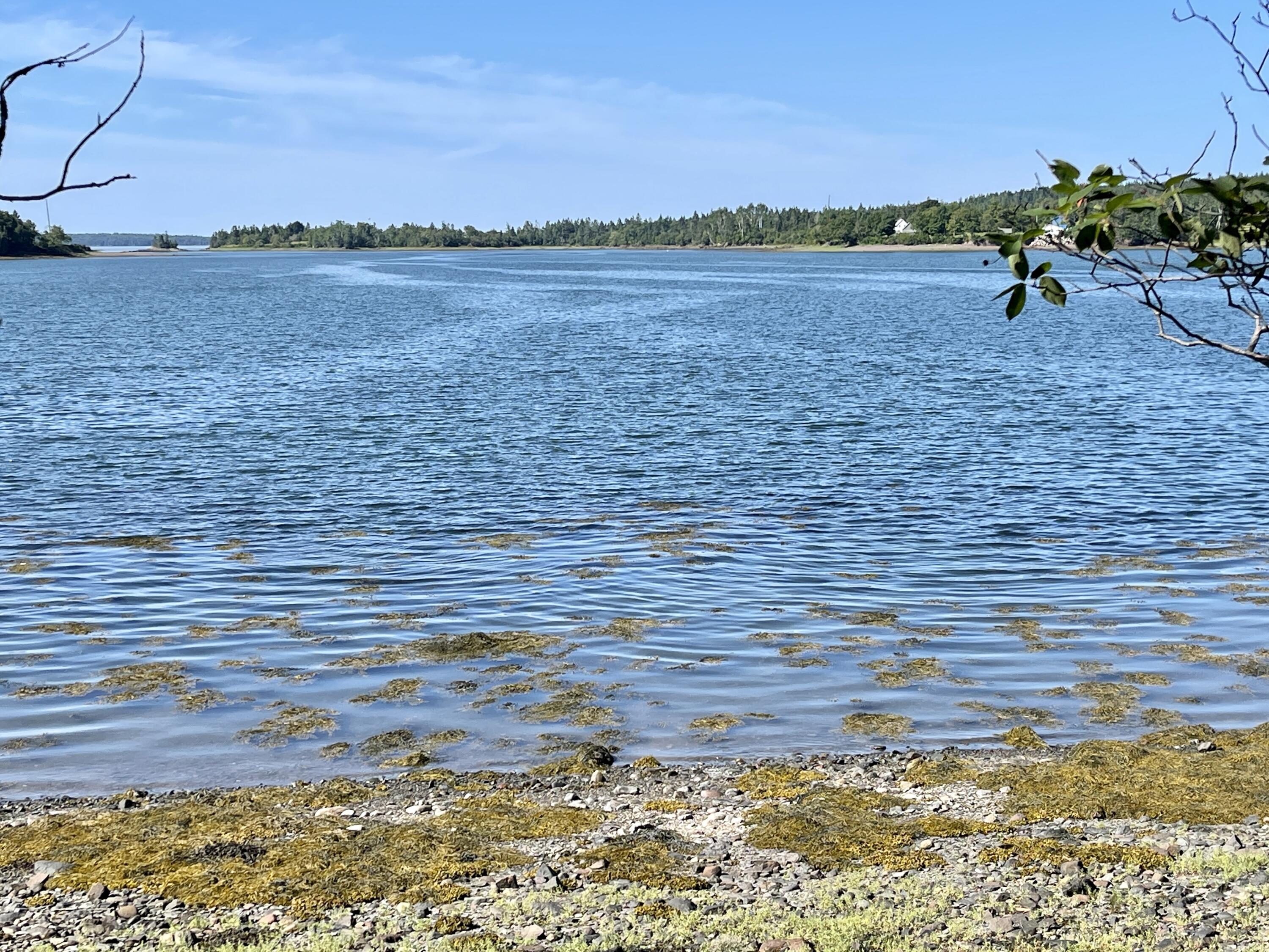 214 County Road Eastport, ME 04631 - Photo 19 of 23 D9575BB2-9400-4012-B20E-EFF7C55C4DD1