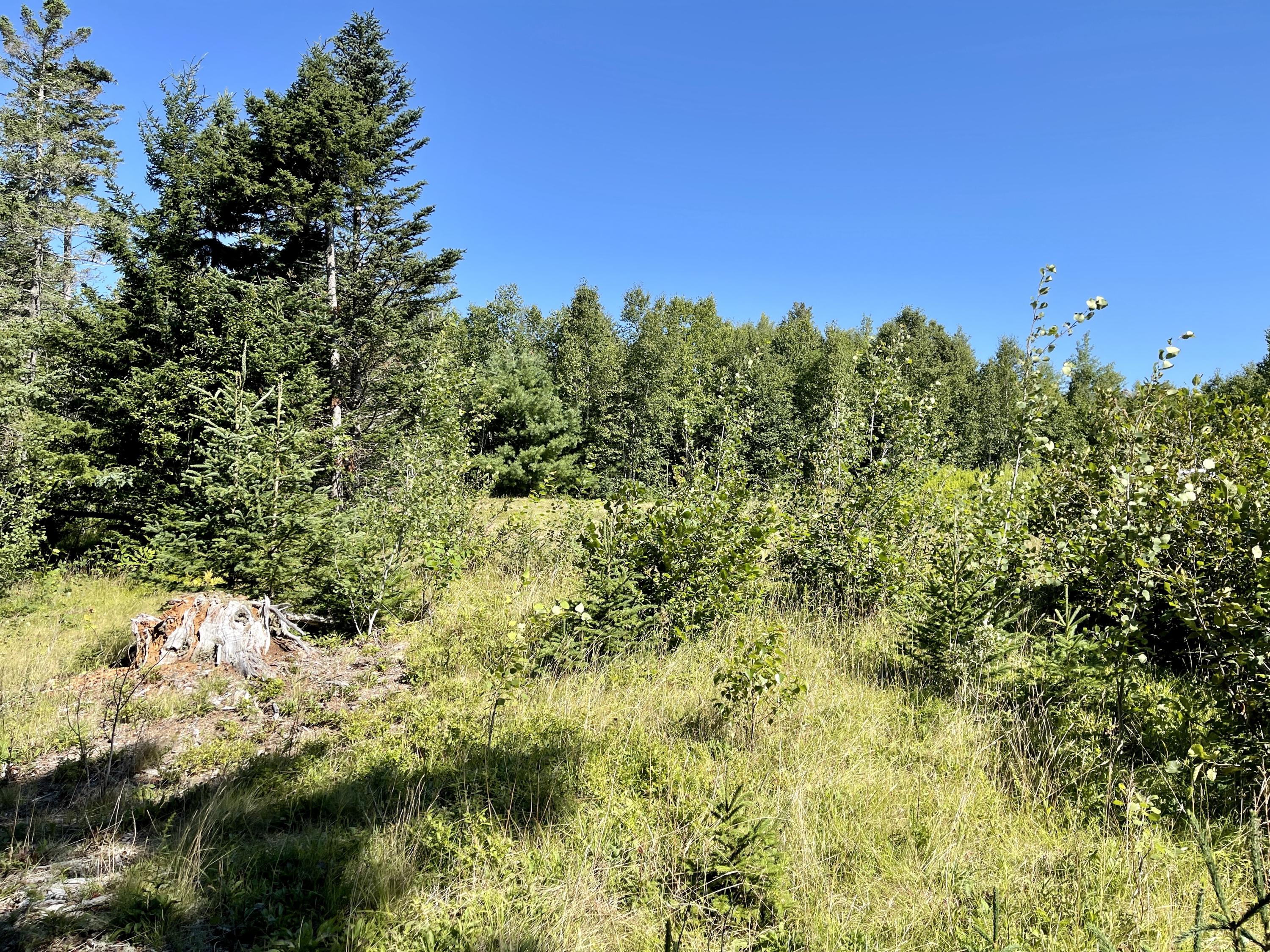 214 County Road Eastport, ME 04631 - Photo 20 of 23 BAB76E39-FF71-4DD8-8772-D7DDD25E6ACC