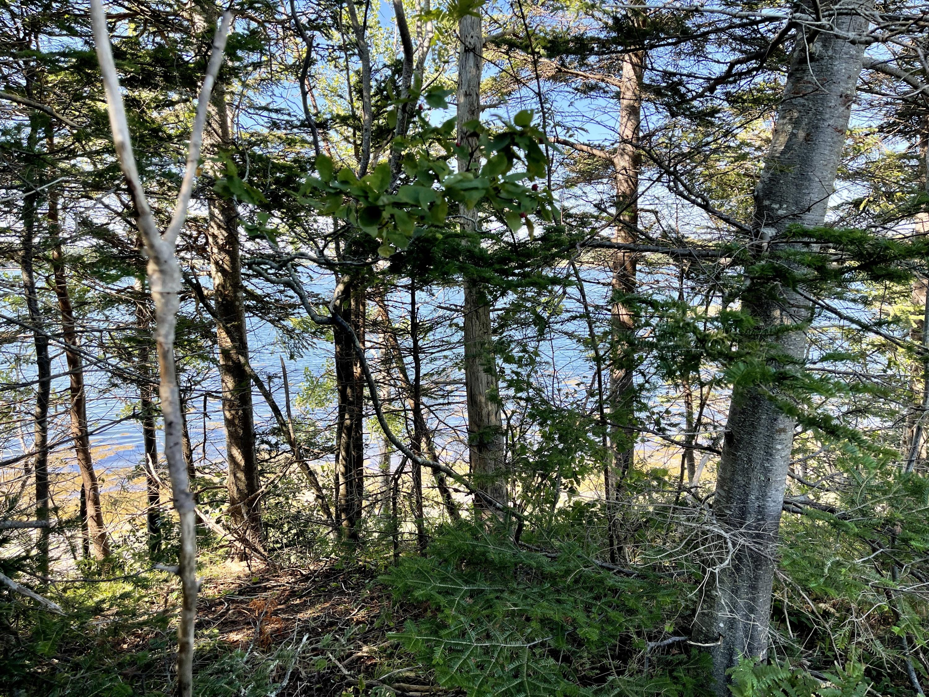 214 County Road Eastport, ME 04631 - Photo 21 of 23 978C94C7-1862-47E3-BD15-A121BA31DA34