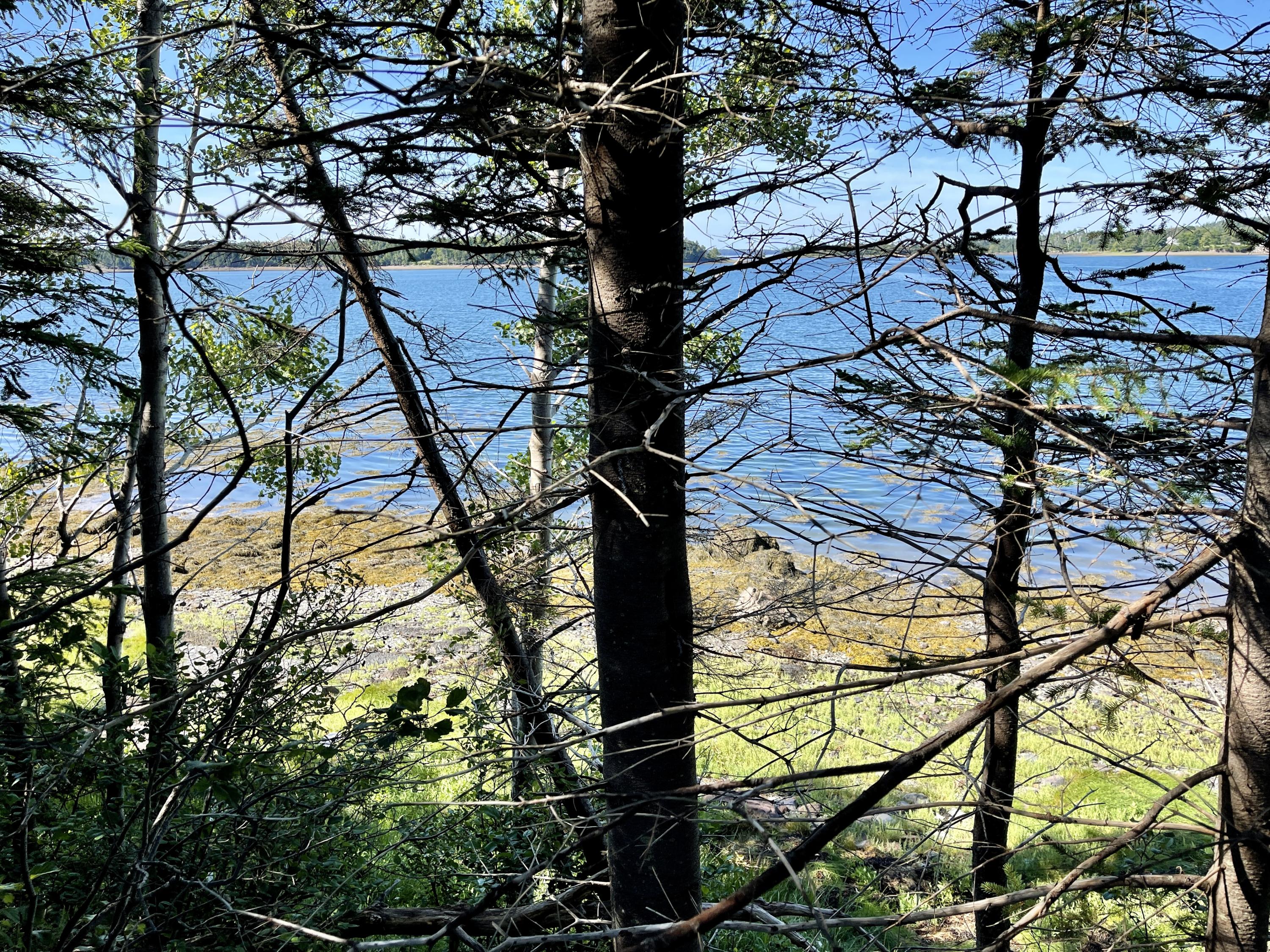 214 County Road Eastport, ME 04631 - Photo 22 of 23 473F14B5-CCB7-4858-8DDA-9BAFF9A11CDF