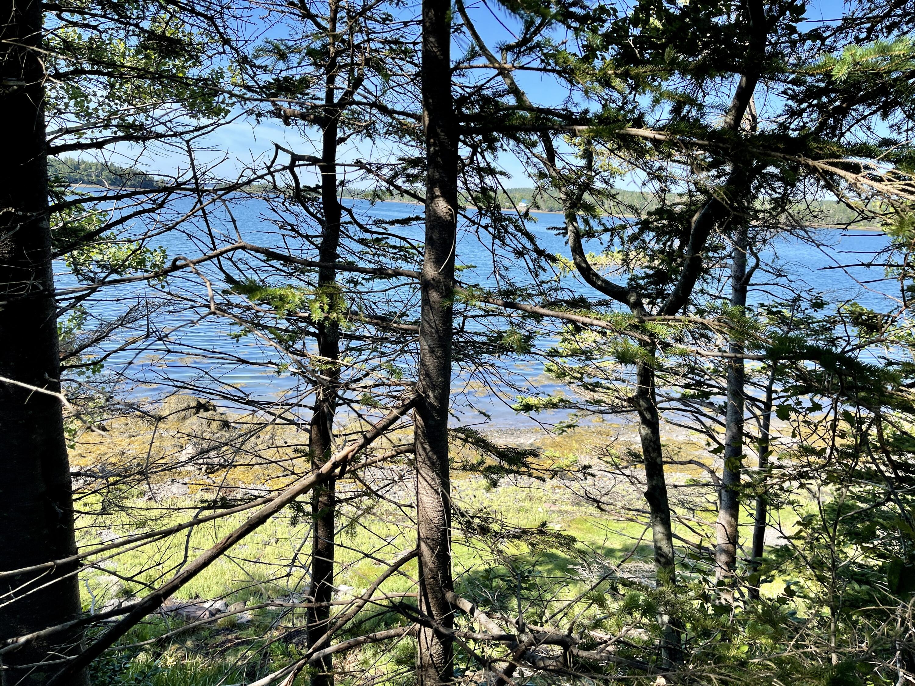 214 County Road Eastport, ME 04631 - Photo 23 of 23 AF4D7AD8-C883-4DD4-99A1-DCC865A4ECE7