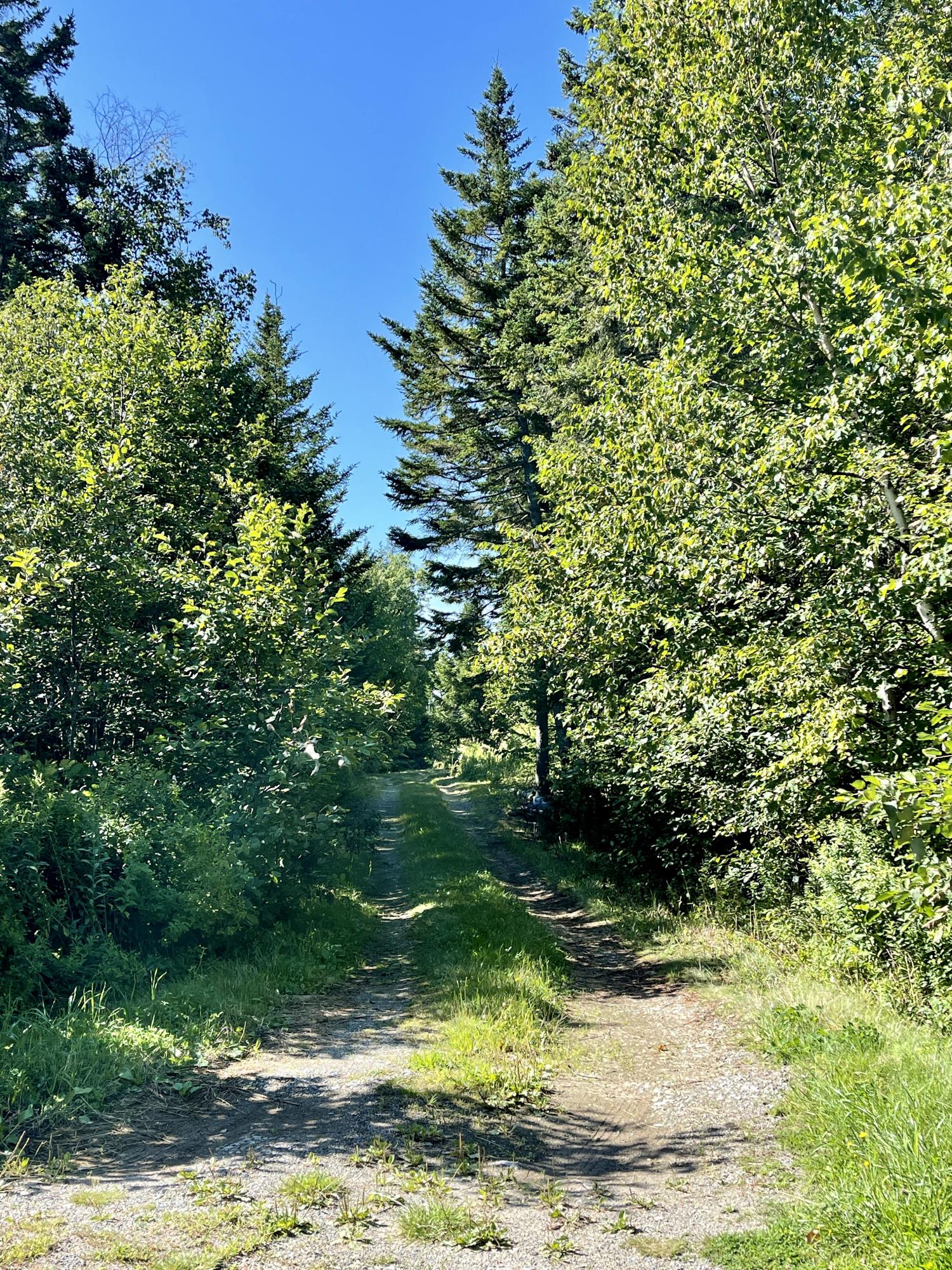 214 County Road Eastport, ME 04631 - Photo 3 of 23 65B507D7-1F93-4642-BCEF-01A08C4B0163