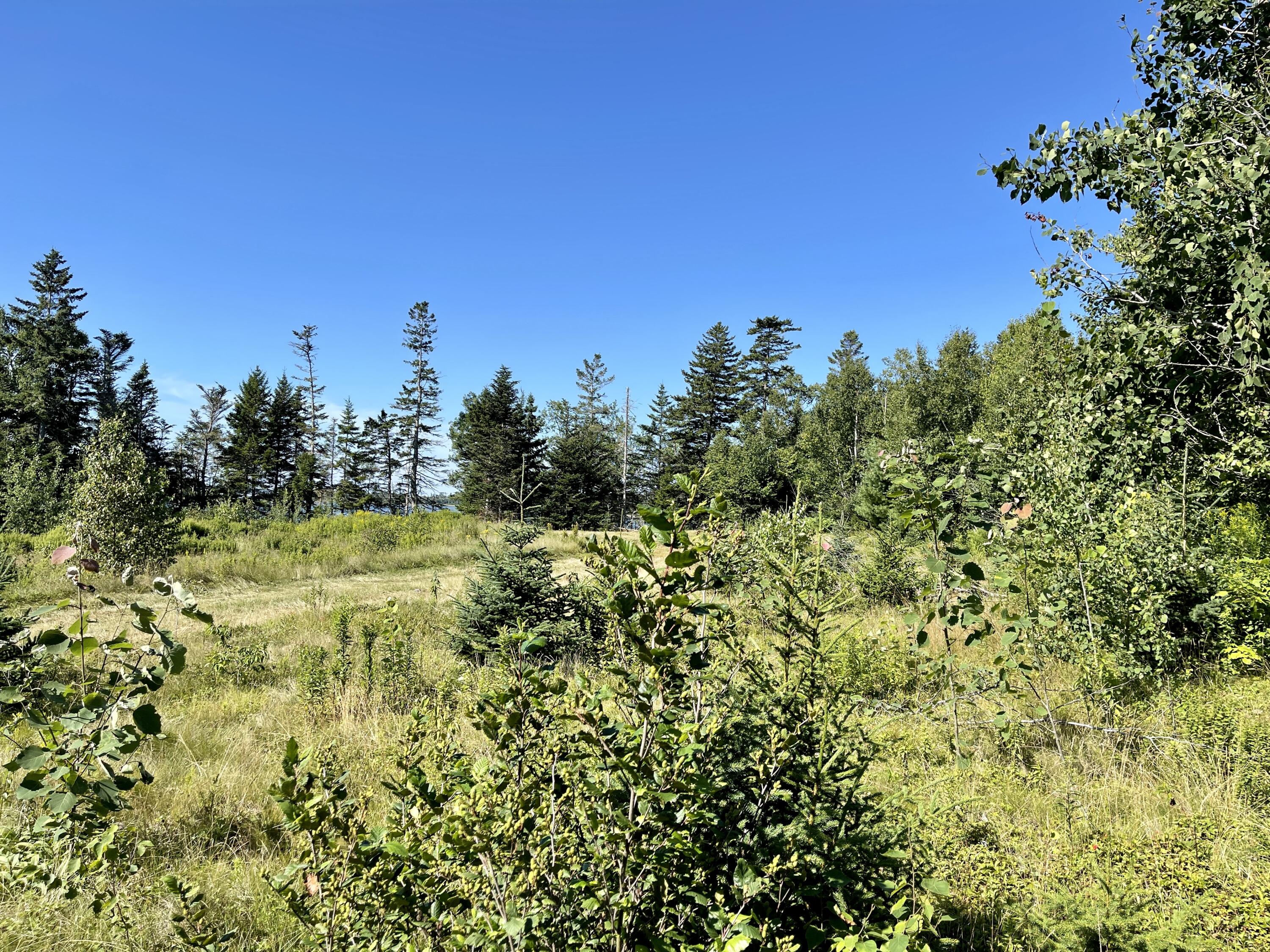 214 County Road Eastport, ME 04631 - Photo 4 of 23 3AF70FBC-E951-4712-B8E9-7A6D425CFE23