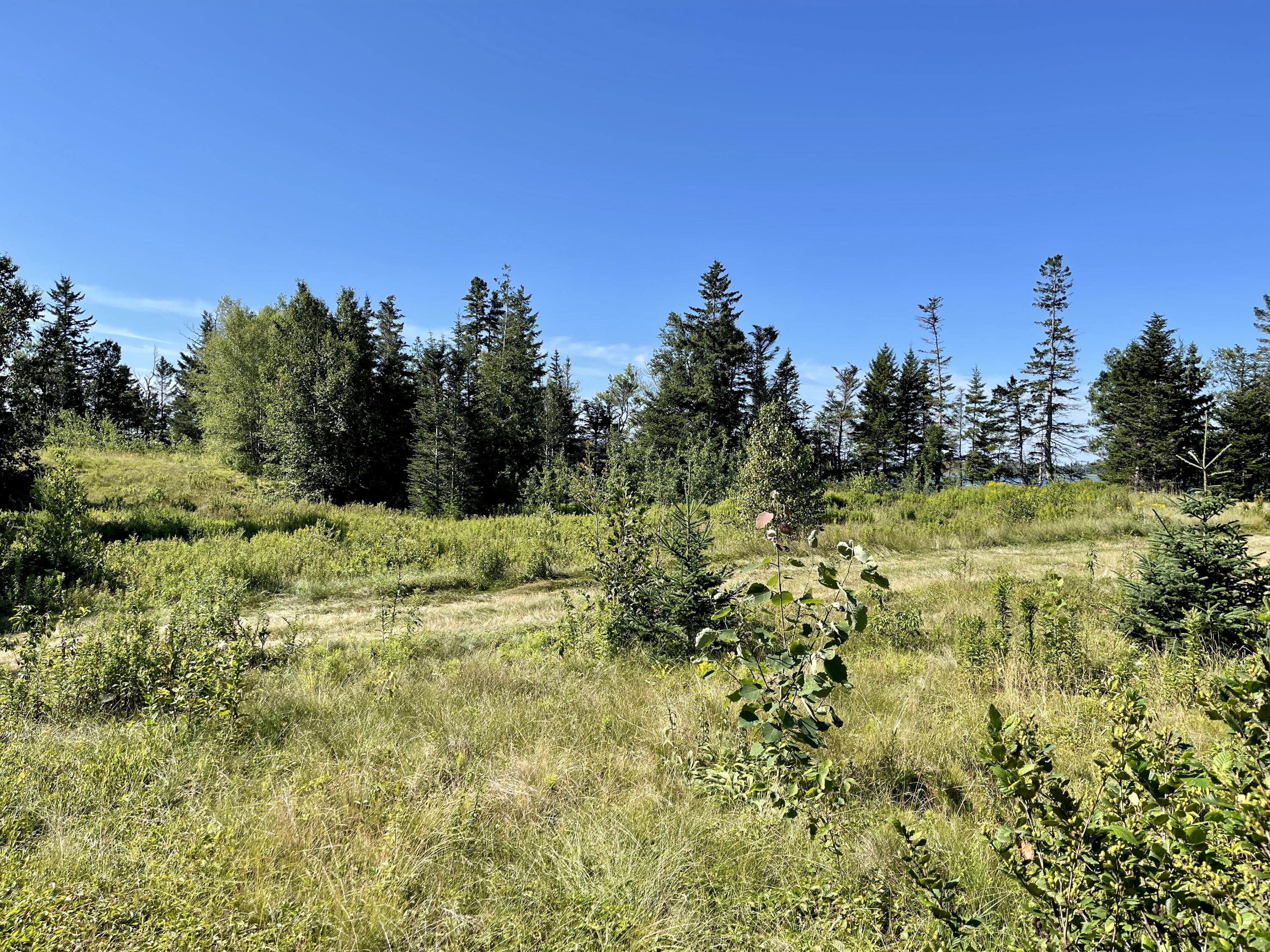 214 County Road Eastport, ME 04631 - Photo 5 of 23 F3B99CC9-38F6-4B47-A530-CE926D7BEB0E