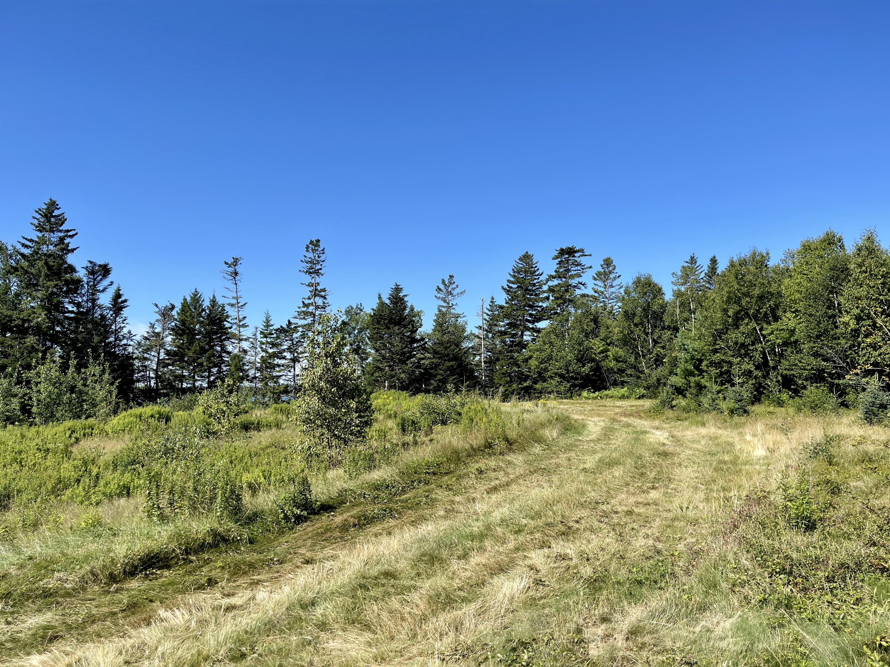 214 County Road Eastport, ME 04631 - Photo 6 of 23 8B322E67-F63F-49EA-B133-BF41CBC0D39B