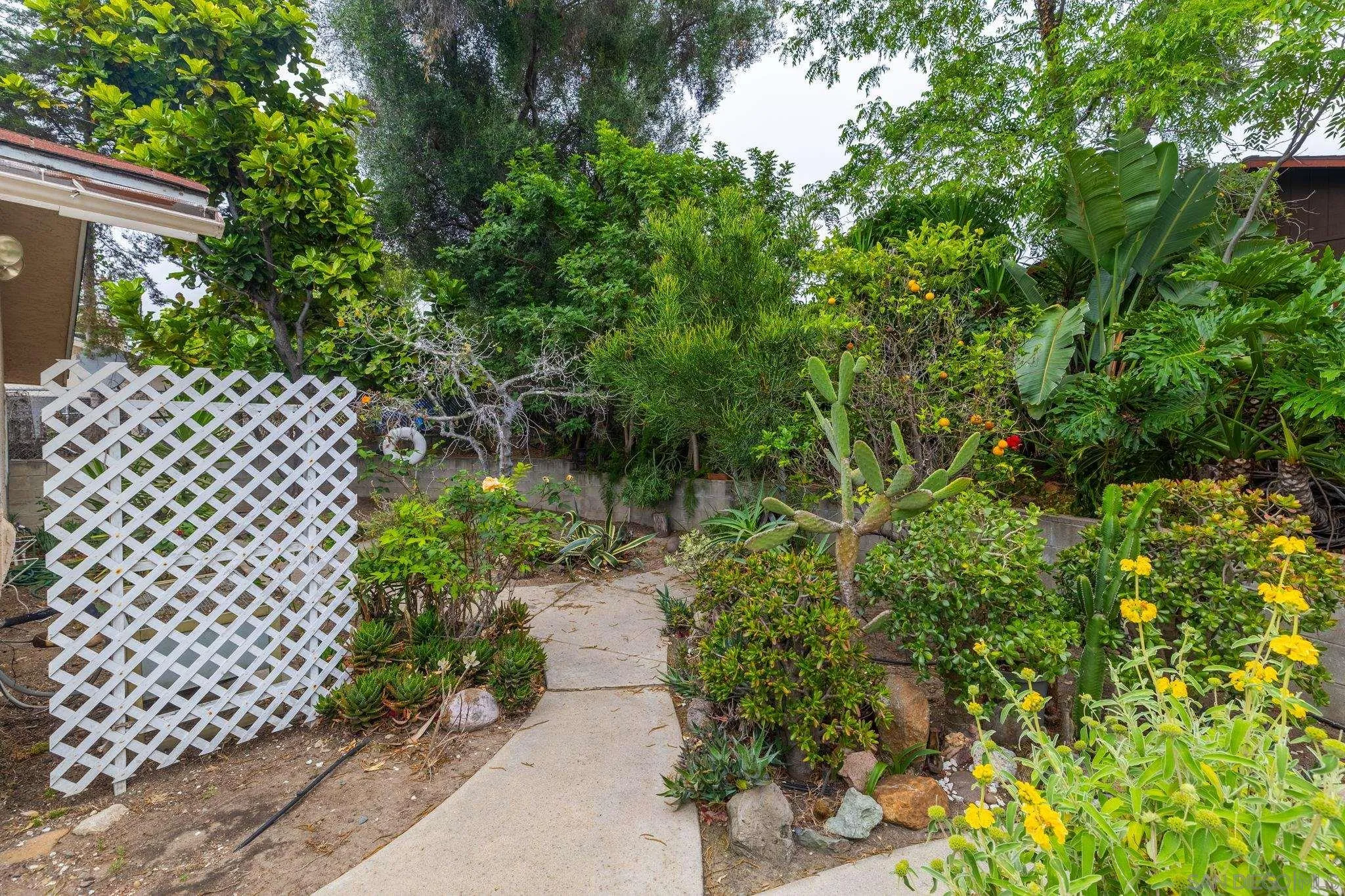 8231 Roy Street Lemon Grove, CA 91945 - Photo 16 of 19 Yard