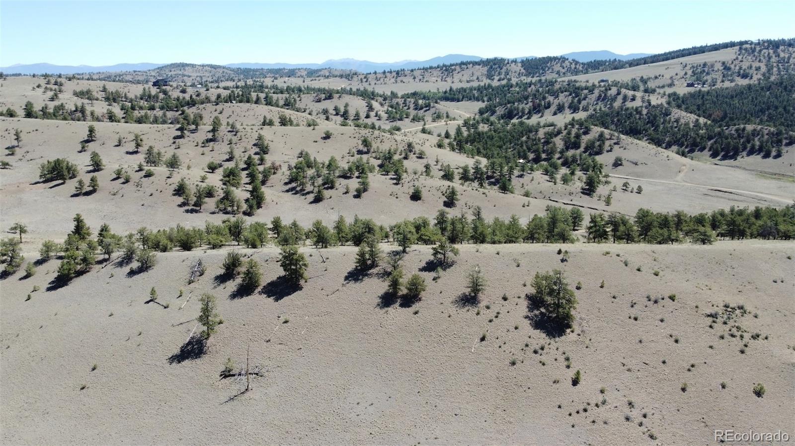 Hardwood Loop Hartsel, CO 80449 - Photo 19 of 38