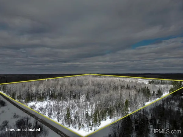 $62,000 | Tbd North Rock 38th Rd Se 40 Road, Rock, MI 49880