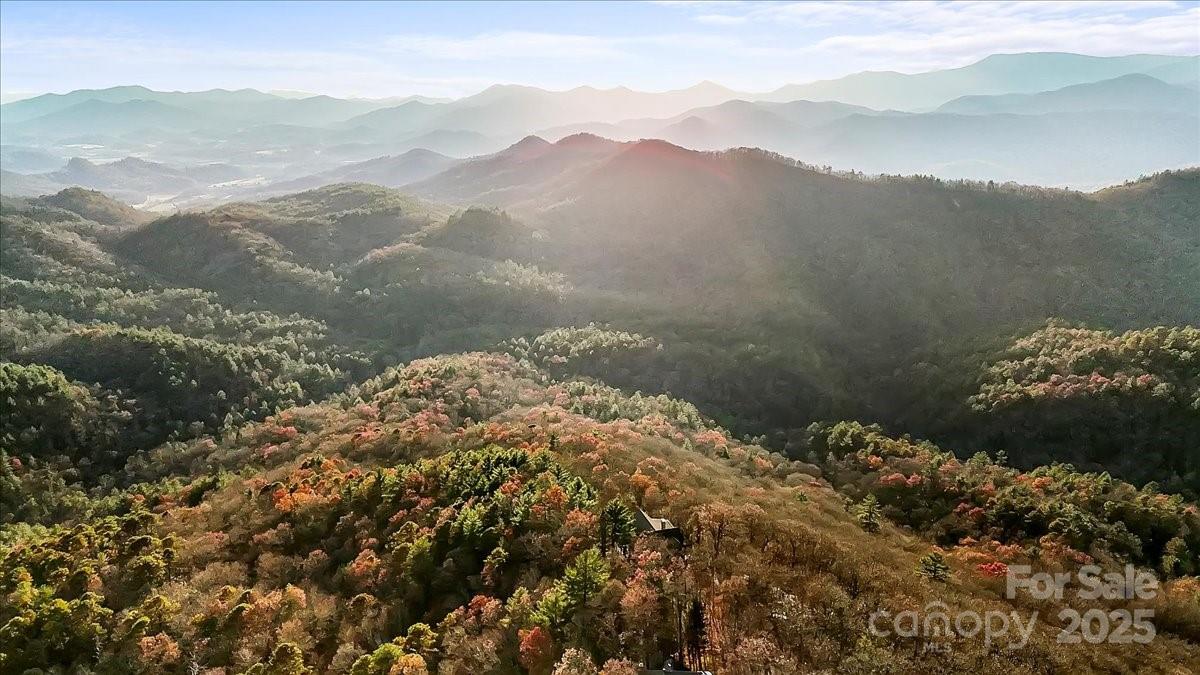 2919 Highland Gap Road Scaly Mountain, NC 28775 - Photo 4 of 48