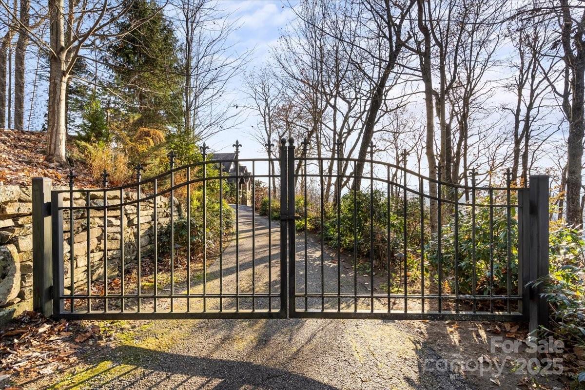 2919 Highland Gap Road Scaly Mountain, NC 28775 - Photo 48 of 48