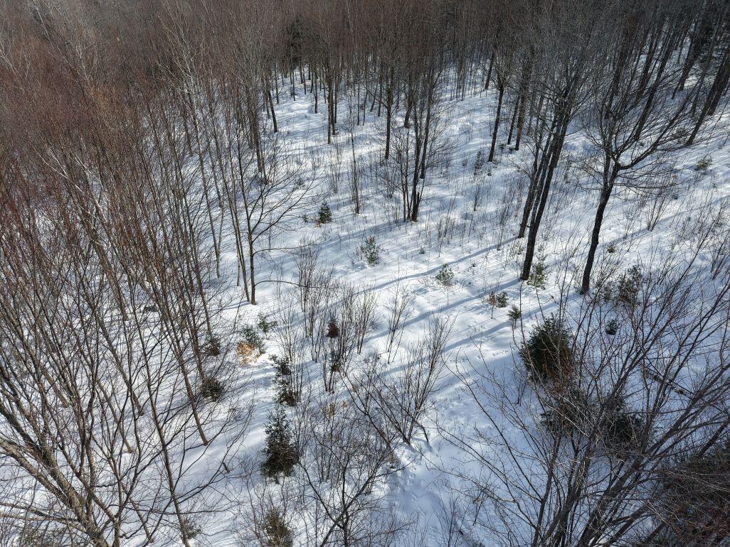 M7-l13-1 Pine Bluff Road Embden, ME 04958 - Photo 7 of 22