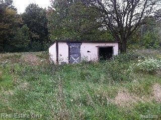 Back Lot Shed.jpg