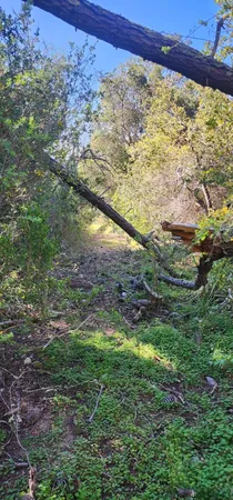 $500,000 | Undisclosed Address, Watsonville, CA 95076