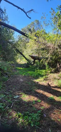 $500,000 | Undisclosed Address, Watsonville, CA 95076
