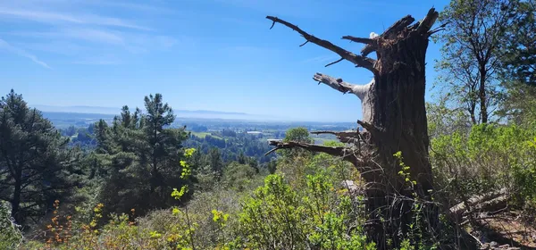 $500,000 | Undisclosed Address, Watsonville, CA 95076