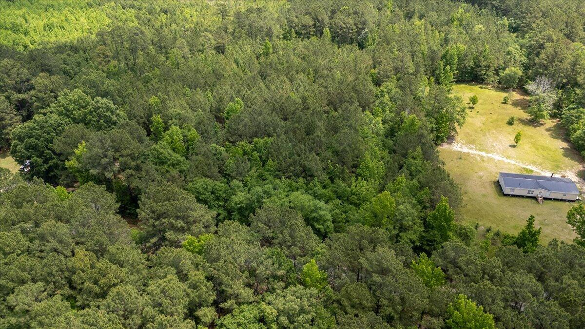 0 Deneaux Road Rowesville, SC 29133 - Photo 16 of 43 15-Deneaux-15